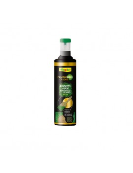 PIGMENTO VERDE PERMANENTE PARA CÉSPED RELVA 700ML